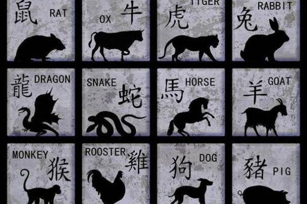 天下美景指什么生肖(天下美景指什么生肖正确答案) 天下美景指什么生肖(天下美景指什么生肖正确答案)