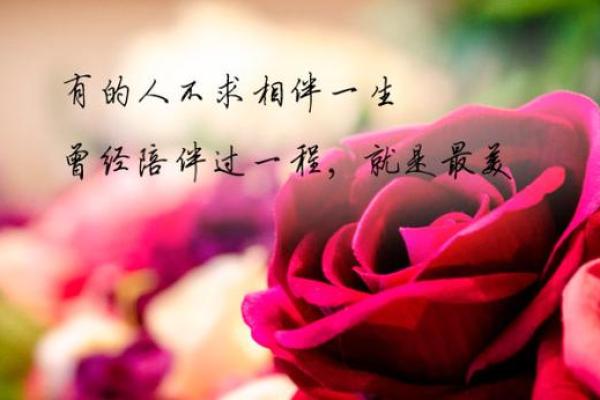 有缘分是什么意思_身上有缘分是什么意思