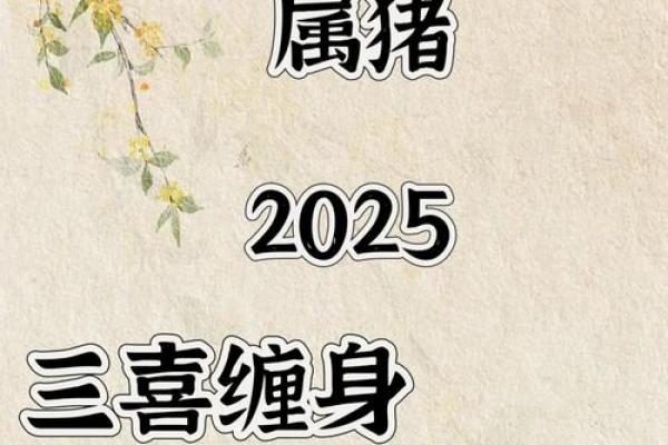 1971年属猪的2025年运势_1971年生肖猪2025年运势及运程