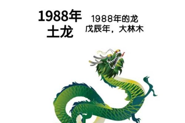 1976年出生的龙在2025年的运势如何_1976年属龙的人2025年的运势及运程 1976年出生的龙在2025年的运势如何_1976年属龙的人2025年的运势及运程