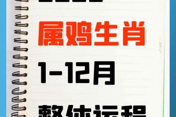 今日属鸡运势解析财运事业感情全揭秘