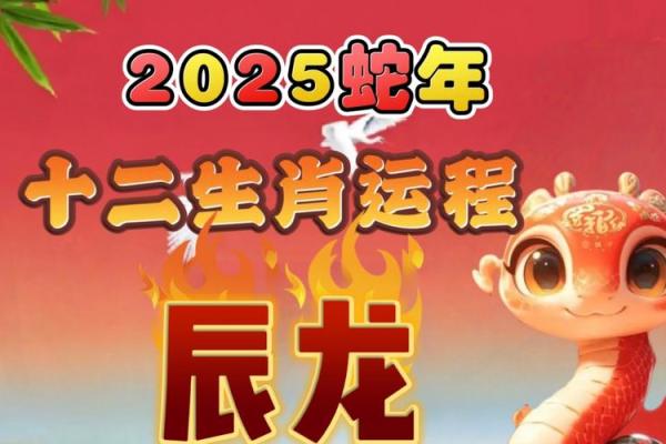 属龙人2025年全年运势_2000年出生属龙人2025年全年运势 属龙人2025年全年运势_2000年出生属龙人2025年全年运势