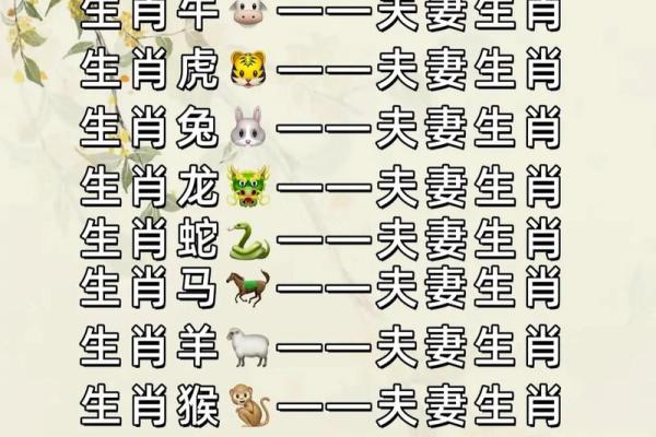 生肖属兔的最佳配偶是什么 生肖属兔的人最佳的婚配属相是谁 生肖属兔的最佳配偶是什么 生肖属兔的人最佳的婚配属相是谁