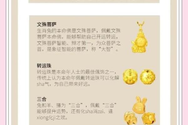 75年属兔今年多少岁2023年属兔人年龄详解
