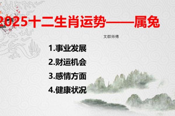 2025年属兔的年龄计算及运势解析 2025年属兔的年龄计算及运势解析