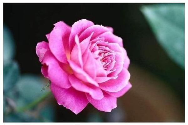 “街坊邻居”打一最佳准确生肖,街坊邻居是什么生肖答案解释释义落实 “街坊邻居”打一最佳准确生肖,街坊邻居是什么生肖答案解释释义落实