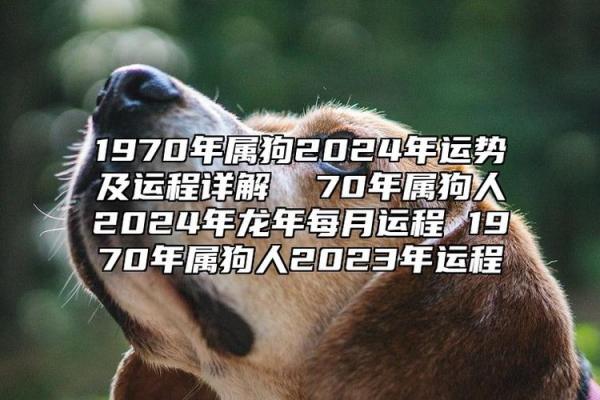 70年属狗2024年运势及运程每月运程_70年属狗2024年运势及运程每月运程易卜居 70年属狗2024年运势及运程每月运程_70年属狗2024年运势及运程每月运程易卜居