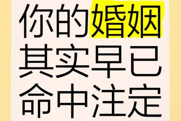 合姻缘指南如何找到命中注定的另一半