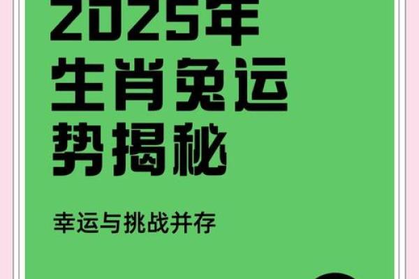1987年属兔2025年运势_1987年属兔2025年运势如何 1987年属兔2025年运势_1987年属兔2025年运势如何