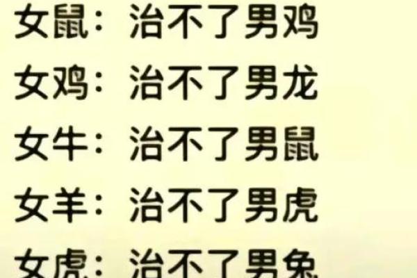 92猴男和96鼠女姻缘_92猴男和96鼠女姻缘五行