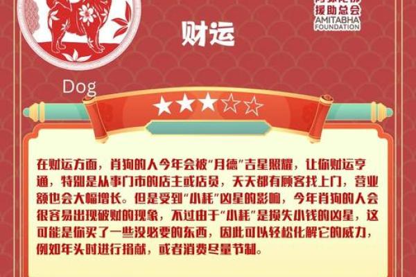 属狗人今天的财运偏财_属狗人今日偏财运解析如何抓住财富机遇 属狗人今天的财运偏财_属狗人今日偏财运解析如何抓住财富机遇