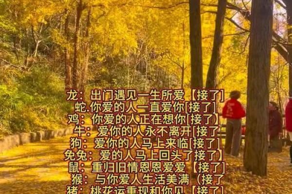 免费测算两人缘分_测两人缘份 免费测算两人缘分_测两人缘份