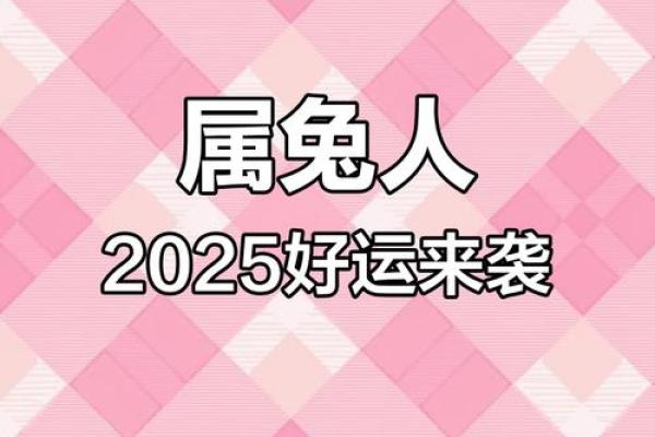 属兔的2025年有多大_2025年兔子 属兔的2025年有多大_2025年兔子