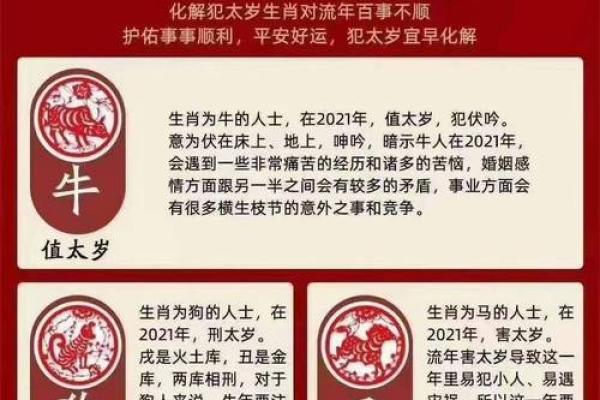 四面受敌是什么生肖
