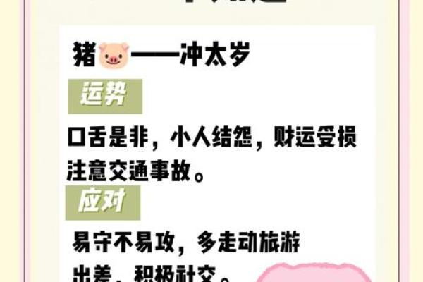 2025年属猪人哪天躲星_2025年属猪躲星时间表 2025年属猪人哪天躲星_2025年属猪躲星时间表