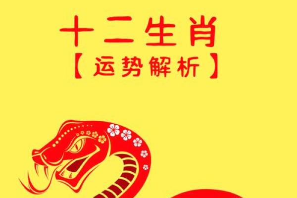 2025年属龙的运气_2025年属龙的运势和财运怎么样 2025年属龙的运气_2025年属龙的运势和财运怎么样