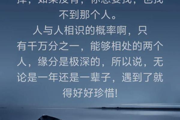 缘分让我们相遇相识一段奇妙的人生旅程 缘分让我们相遇相识一段奇妙的人生旅程
