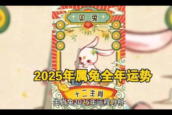 1987年的兔2025年运势 2025年运势解析1987年属兔人未来运势大揭秘