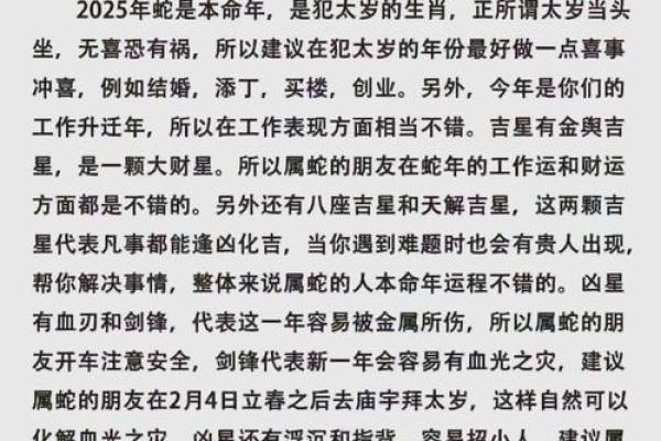 鼠年今年的运势怎么样2025 鼠年今年的运势怎么样2025