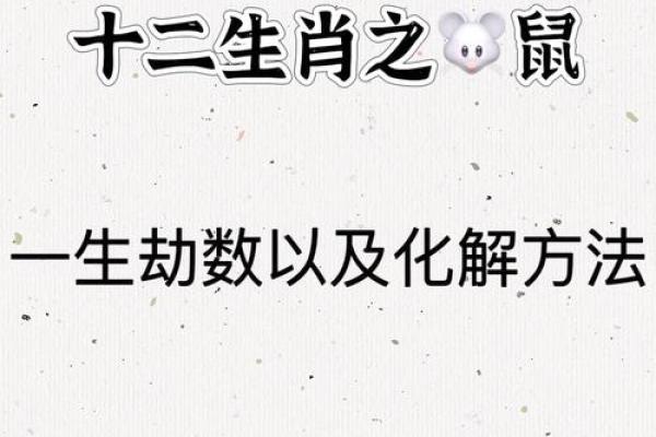 72年属鼠今年运势每月 72年属鼠今年运势每月