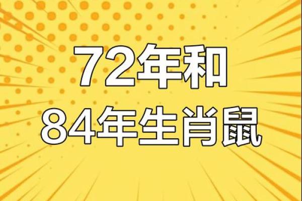 72年属鼠今年运势每月 72年属鼠今年运势每月