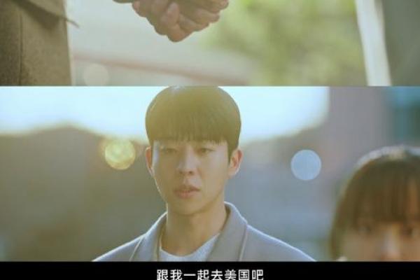 缘分的奇妙旅程探寻生命中的偶然与必然 缘分的奇妙旅程探寻生命中的偶然与必然