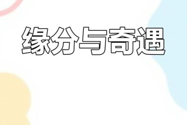 缘分的奇妙旅程探寻生命中的偶然与必然 缘分的奇妙旅程探寻生命中的偶然与必然