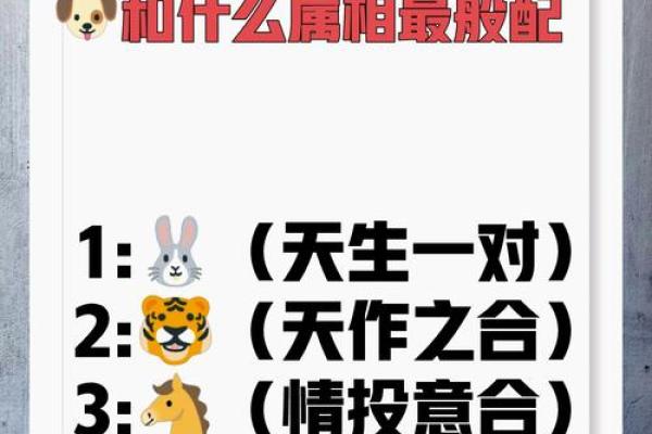 属狗和属鸡的婚姻如何_属狗和属鸡的婚姻如何化解 属狗和属鸡的婚姻如何_属狗和属鸡的婚姻如何化解