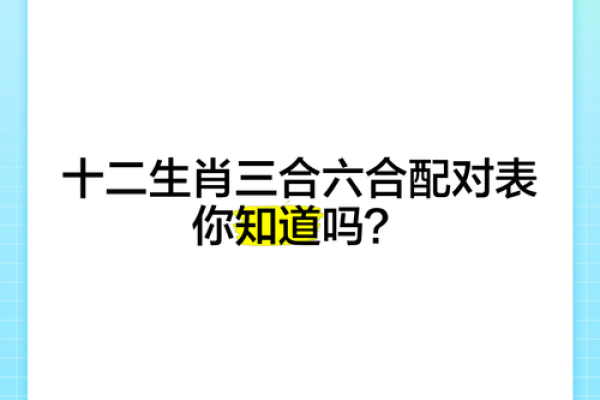 天肖地肖是哪几个肖