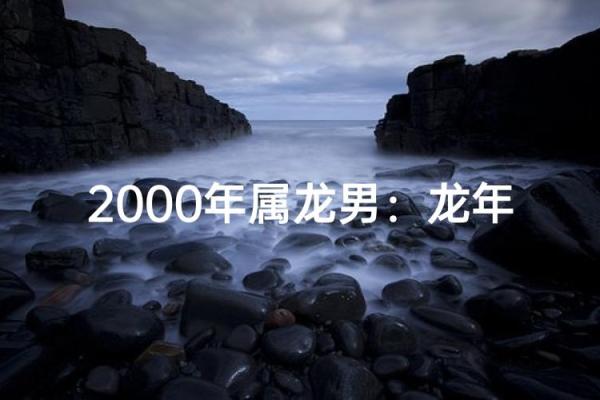 2000年属龙的人命运如何 2000年属龙人农历十月命运解析龙年出生者运势走向全透视 2000年属龙的人命运如何 2000年属龙人农历十月命运解析龙年出生者运势走向全透视