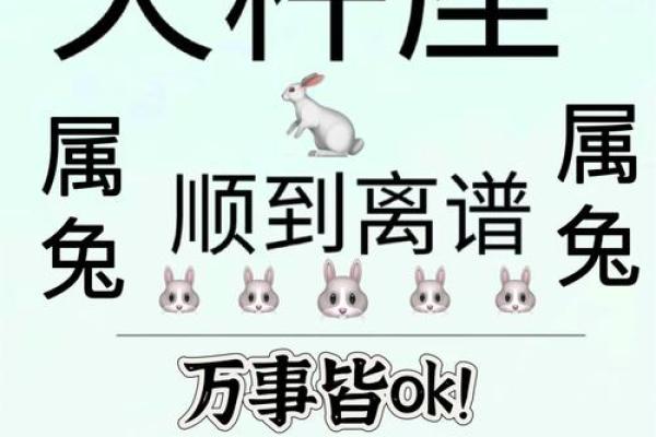 2024属兔人的全年运势如何_2024属兔人的全年运势如何1987