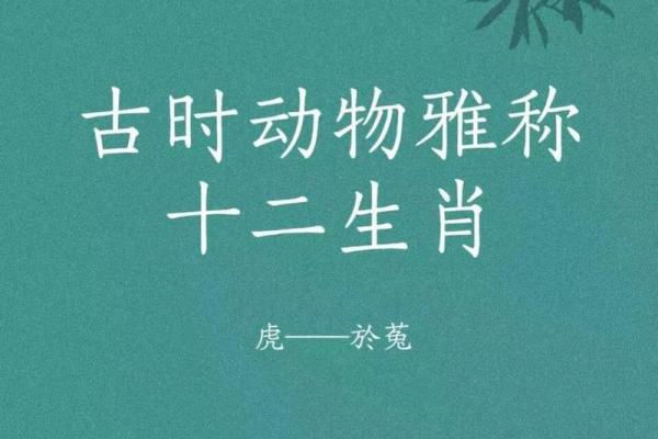 “肥田沃地”打一准确动物生肖,肥田沃地打一正确生肖答案解释释义落实 “肥田沃地”打一准确动物生肖,肥田沃地打一正确生肖答案解释释义落实
