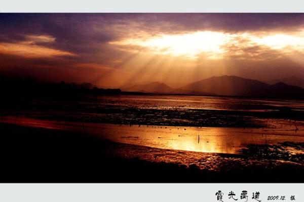 “霞光万道”是什么生肖动物,霞光万道代表什么动物答案解释释义落实 “霞光万道”是什么生肖动物,霞光万道代表什么动物答案解释释义落实