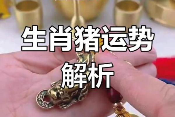 1983年的猪2025运势 1983年属猪人2025年运势详解财运事业感情全解析 1983年的猪2025运势 1983年属猪人2025年运势详解财运事业感情全解析