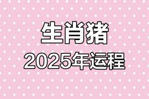 1983属猪2025年运势详解全年运程大揭秘 1983属猪2025年运势详解全年运程大揭秘