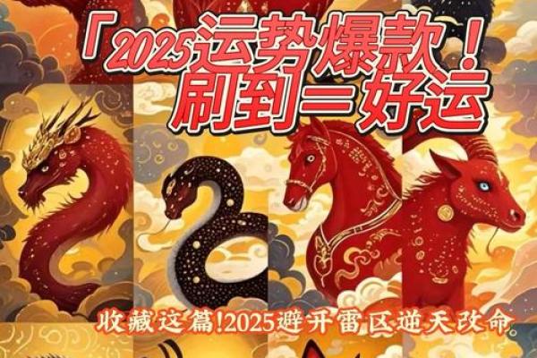 1983属猪2025年运势详解全年运程大揭秘 1983属猪2025年运势详解全年运程大揭秘