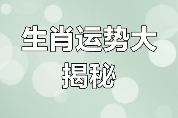 属狗女今日麻将运势解析财运亨通还是手气不佳 属狗女今日麻将运势解析财运亨通还是手气不佳
