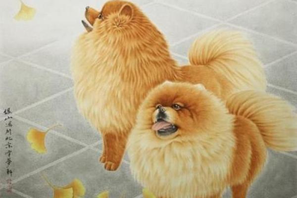 2006属狗2025年的运势及运程_2006属狗2025年运势详解运程走向与关键转折点 2006属狗2025年的运势及运程_2006属狗2025年运势详解运程走向与关键转折点