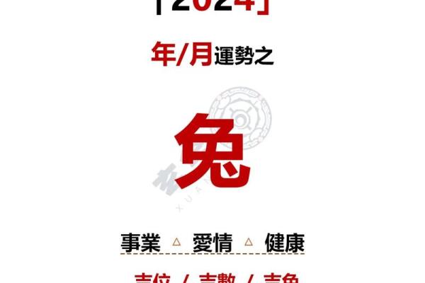 87年属兔38岁运气 87年兔34岁的财运2021 87年属兔38岁运气 87年兔34岁的财运2021