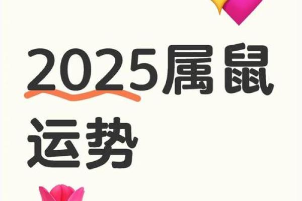 2025年属鼠人的运势 2025年属鼠人的运势