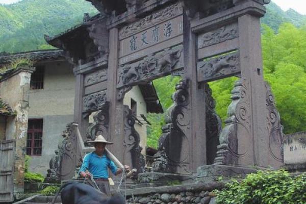 寸草春晖是什么生肖