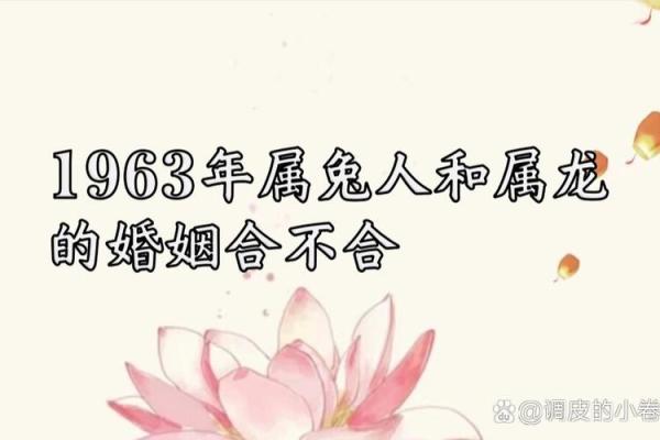 属龙男和属兔女姻缘怎么样_属龙男和属兔女姻缘解析性格互补还是冲突 属龙男和属兔女姻缘怎么样_属龙男和属兔女姻缘解析性格互补还是冲突