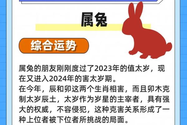 2025年属兔是什么命(2025年属兔的运程) 2025年属兔是什么命(2025年属兔的运程)