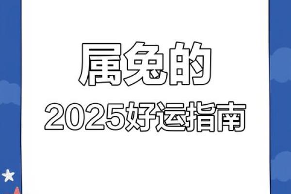 2025年生肖兔全年运程_2025年生肖兔全年运程如何