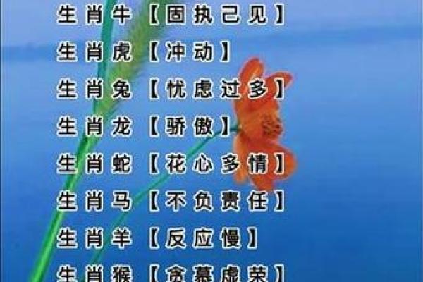 风狂雨猛指什么生肖(风狂雨猛属什么生肖) 风狂雨猛指什么生肖(风狂雨猛属什么生肖)