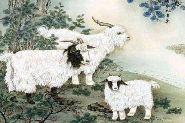 2003年是属羊吗_2003年羊属于什么命的羊 2003年是属羊吗_2003年羊属于什么命的羊