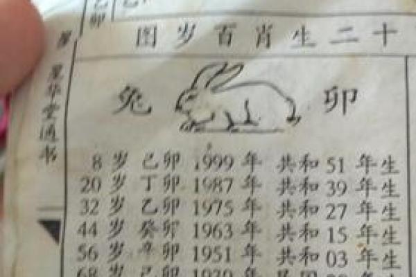 1951年属兔五行属什么命_1951年属兔吗 1951年属兔五行属什么命_1951年属兔吗