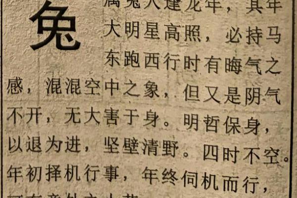 1951年属兔五行属什么命_1951年属兔吗 1951年属兔五行属什么命_1951年属兔吗