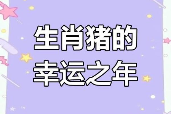 2025年属猪的婚姻运势 2025年属猪人婚姻运势解析幸福指数大揭秘 2025年属猪的婚姻运势 2025年属猪人婚姻运势解析幸福指数大揭秘