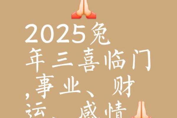2025属兔人的全年运势_2025属兔人全年运势解析财运事业爱情全攻略 2025属兔人的全年运势_2025属兔人全年运势解析财运事业爱情全攻略
